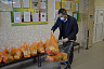 Саратовским школьникам на «дистанционке» выдают продуктовые наборы