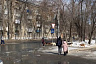 Жители назвали Саратов заповедником бездомных собак