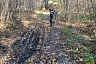 Саратовцы очистили будущую лыжню от мусора и сухостоя