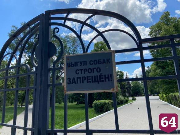 В Саратове владельцы собак игнорируют запрет на посещение парков 