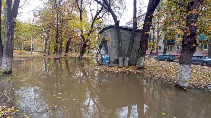 На бульваре в центре Саратова появилось «болото» для фотосессий