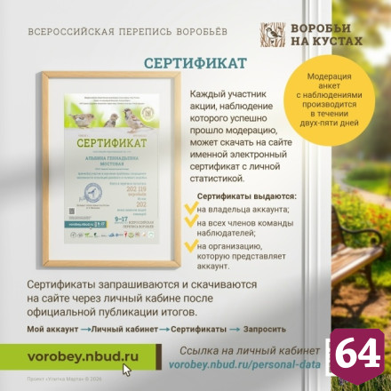 Саратовцы посчитают воробьев в рамках всероссийской переписи
