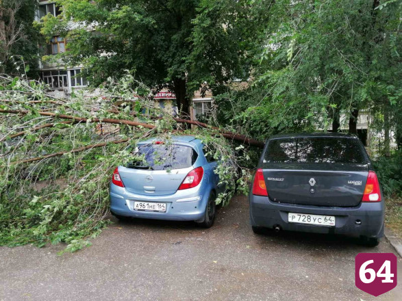 Поваленные сильным ветром деревья раздавили несколько автомобилей