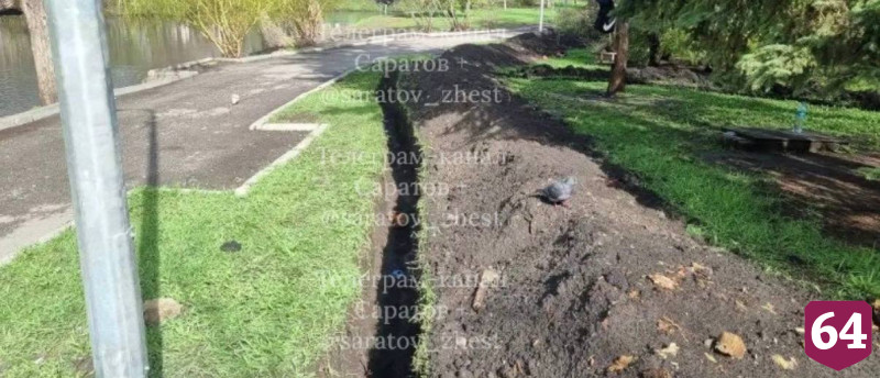В горпарке Саратова раскопали человеческий череп