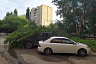 Шквалистый ветер валил в Саратове деревья и обрывал провода