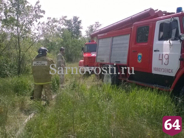 В Саратовской области из-за природного пожара едва не выгорело кладбище