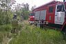 В Саратовской области из-за природного пожара едва не выгорело кладбище
