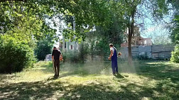 В Энгельсском районе усилили контроль за покосом травы и состоянием дорог у школ