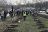 В Саратове губернатор посадил березы на Кумысной поляне