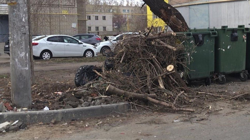 В Саратове за весну вывезено рекордное количество растительных отходов