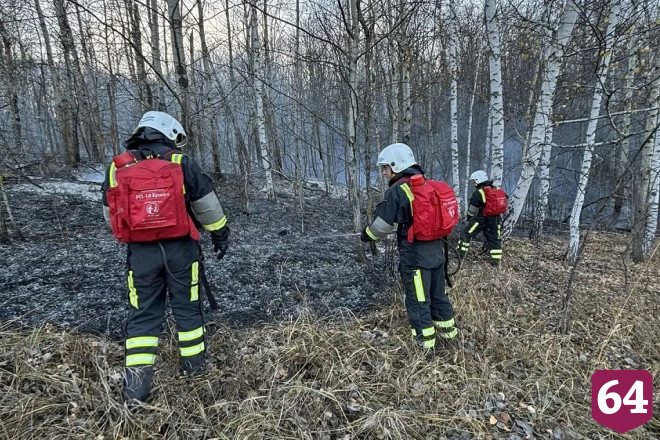 У села Лох стабилизировали лесопожарную обстановку 