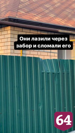 Жителям Саратова из-за щенка изуродовали автомобили и затопили дом