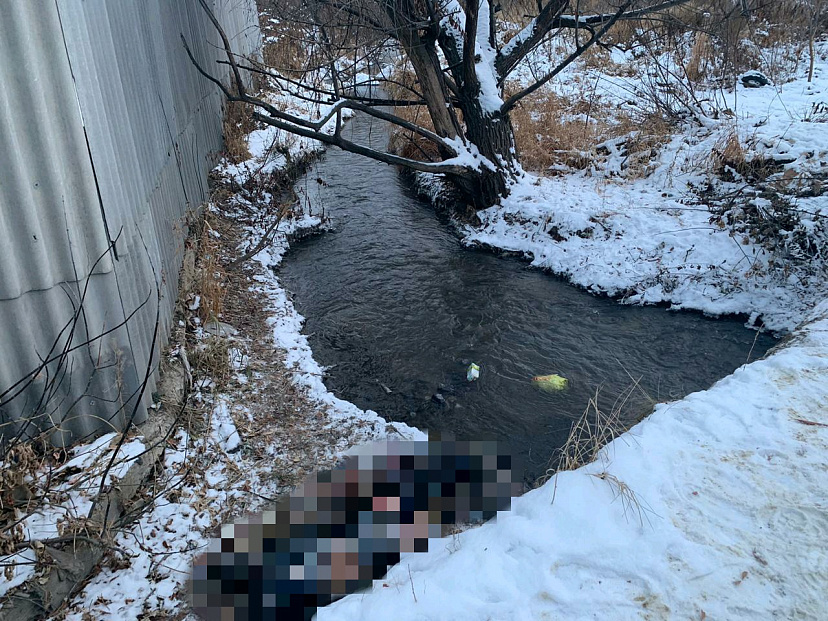 Прохожий нашел в реке под Саратовом тело неизвестного