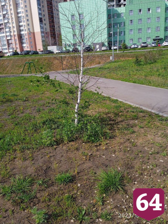 Саратовцев возмутили засохшие деревья и сломанные фонари в парке