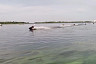 Энгельс празднует День города парадом судов по Волге