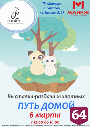 В Саратове посетители торгового центра смогут поиграть с кошками