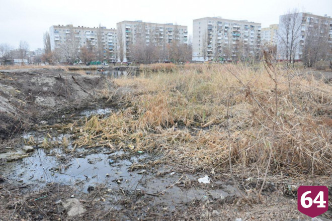 Деревья из сквера Марины Расковой пересадили во временный питомник