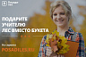 Cаратовские школьники могут подарить педагогам лес ко Дню учителя