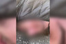 В Саратове пешеходов избили во время дорожного конфликта