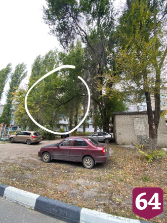 В Саратове после падения дерева попросили обследовать двор