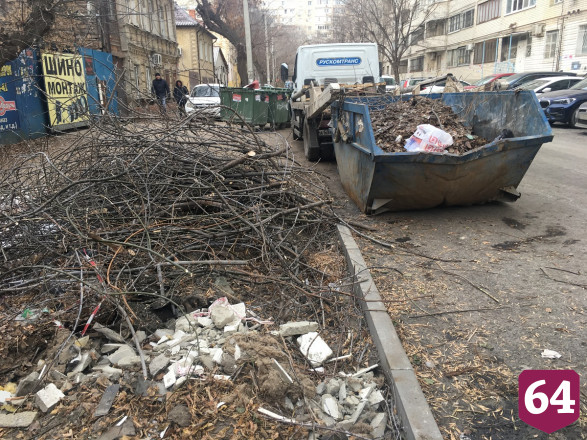 К Новому году города Саратовской области расчистят от растительных отходов