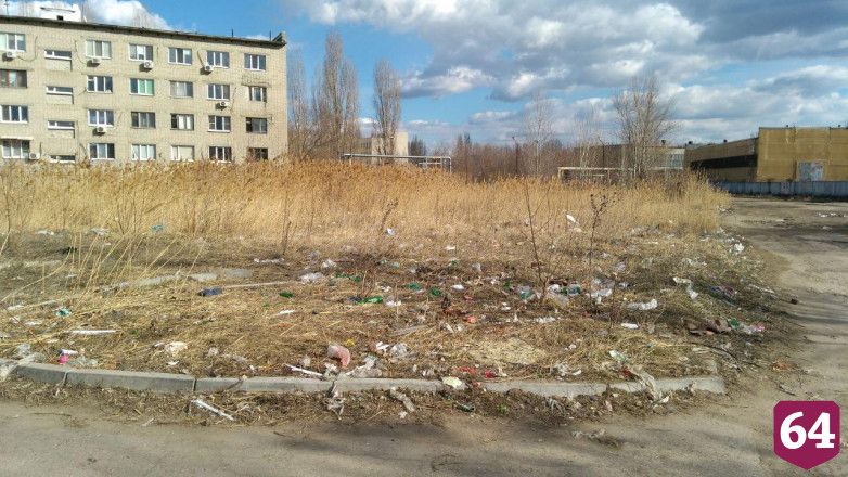 В Саратове любитель бродячих собак кинулся на участника субботника с топором