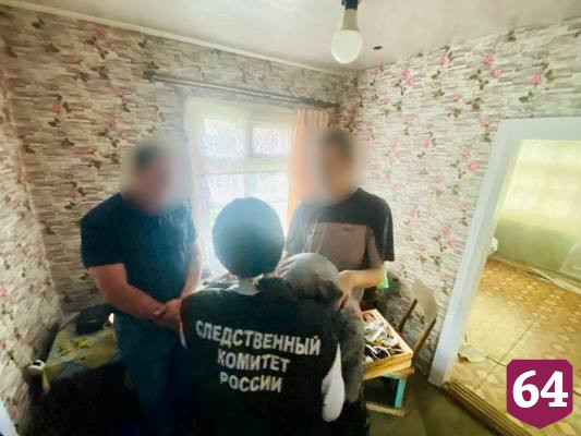 Саратовец осужден на 10 лет за убийство пожилой матери