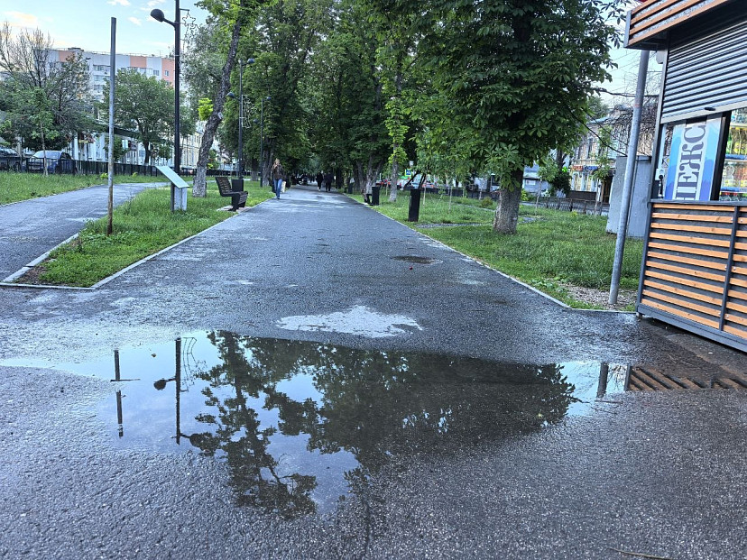Саратовцам в субботу пообещали дожди и порывистый ветер