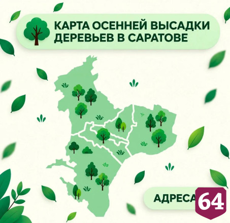 В Саратове высадят 300 крупномерных деревьев
