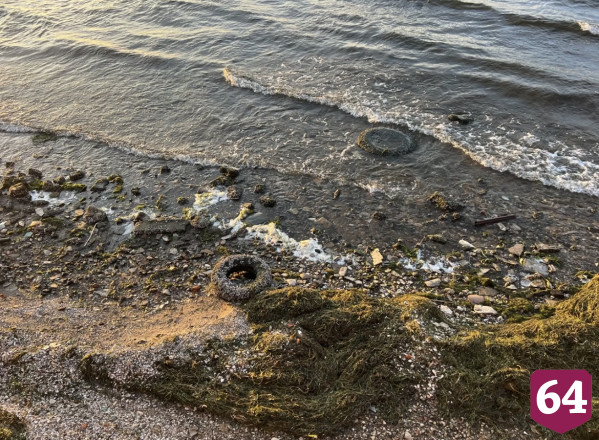 Саратовцы попросили очистить Волгу от мусора и водорослей