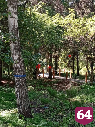 В Ботаническом саду Саратова создадут уголок Японии и высадят сакуру