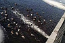 В Саратове утки развлекаются на «водной горке» набережной