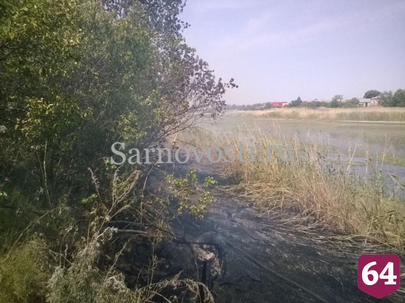В Саратовской области из-за природного пожара едва не выгорело кладбище
