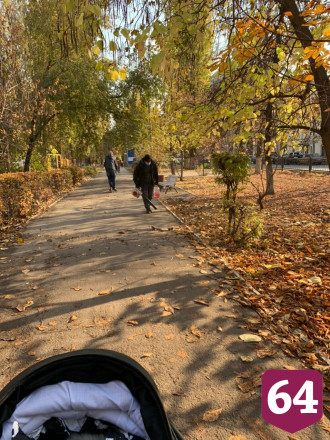 В Саратове осенние листья сдувают в лицо прохожим