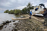 Волгу расчистили от водорослей и выпустили 21 тысячу мальков 