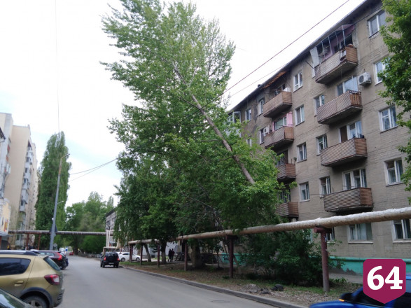 В Саратове огромное дерево рухнуло на теплотрассу