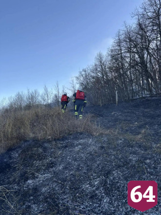 Ликвидирован лесной пожар около саратовского села Лох