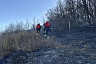 Ликвидирован лесной пожар около саратовского села Лох