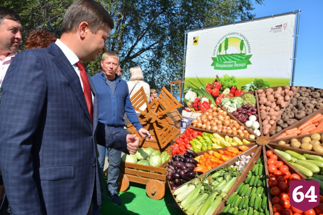 Жители Энгельса празднуют День города