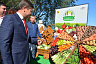 Жители Энгельса празднуют День города