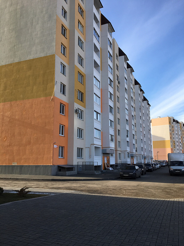 При проверке саратовской новостройки не нашли комаров и мышей
