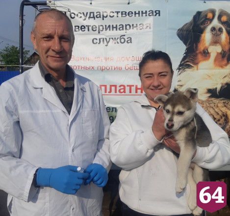 Саратовские ветеринары бесплатно привили от бешенства 700 собак и кошек