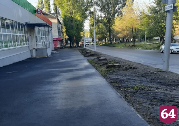 В Саратове незаконно спилили деревья ради парковки 