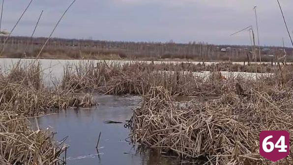 В Саратове спасатели достали из водоема утопленника