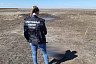 Под Саратовом в поле нашли мертвую женщину