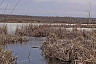 В Саратове спасатели достали из водоема утопленника