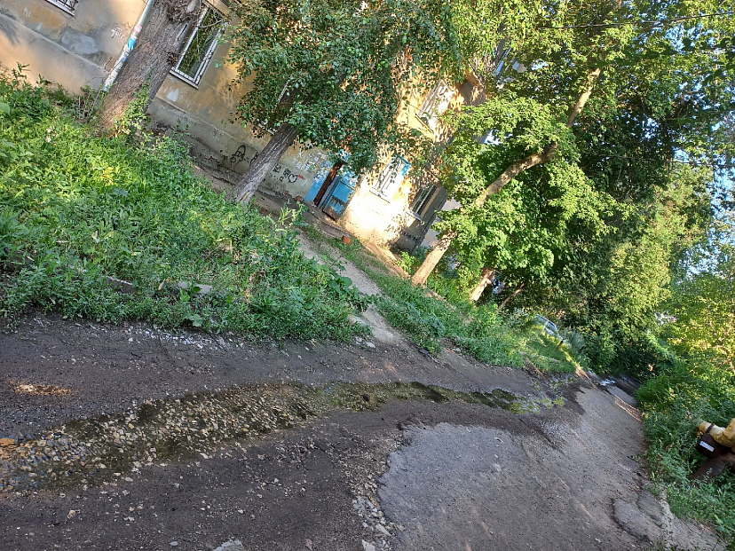 Жители Саратова пожаловались на «вонючую речку» у роддома
