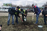 В Саратове губернатор посадил березы на Кумысной поляне