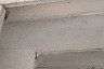 Подъезд саратовской многоэтажки атаковали тысячи комаров