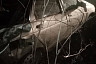 Ночью на трассе разбился насмерть 19-летний саратовец  